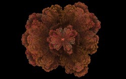 2014 04 26 Afternoon From Blanks 25-black.jpg